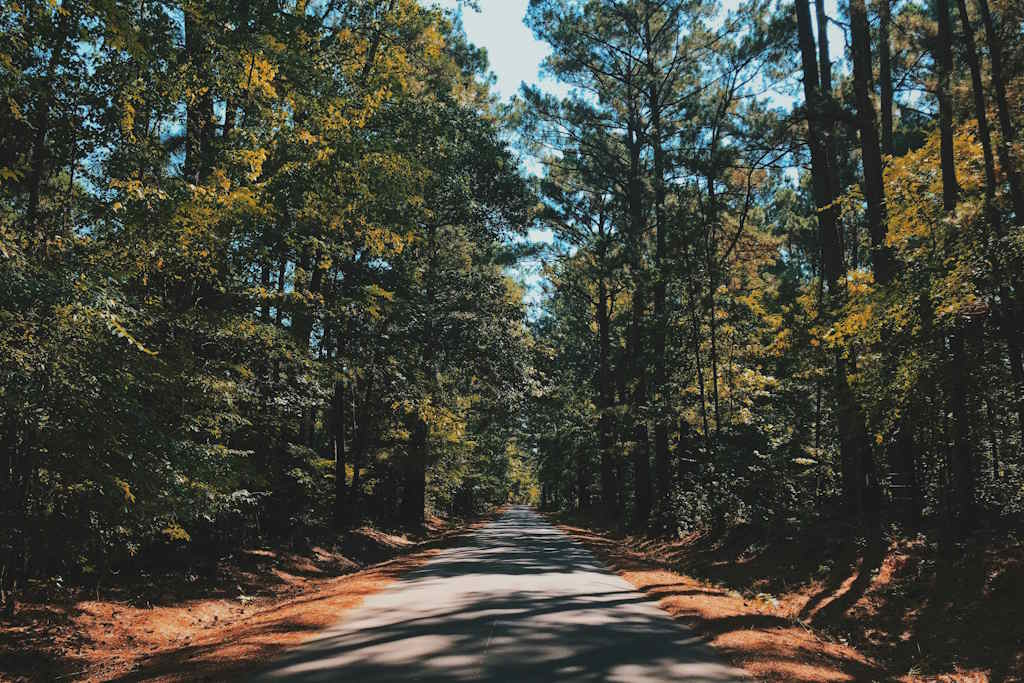 The Flourishing Landscape of East Texas: A Deep Dive into Growth and Opportunity